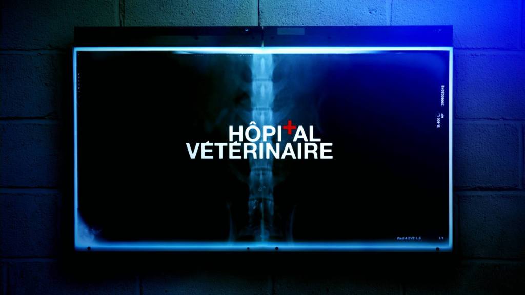 Hôpital vétérinaire